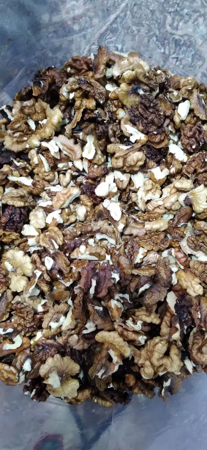 مغز گردو امسالی|خوردنی و آشامیدنی|مشهد, شهرک ابوذر|دیوار