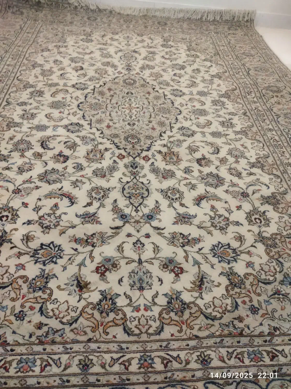 فرش دستباف کرم تمیز نو اردکان|فرش|اصفهان, خواجه عمید|دیوار