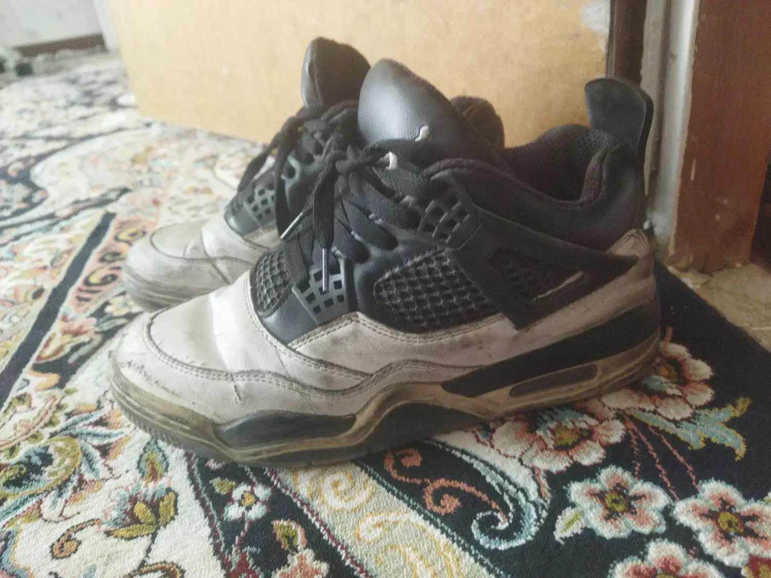 کفش|کیف، کفش، کمربند|شیراز, رازی|دیوار