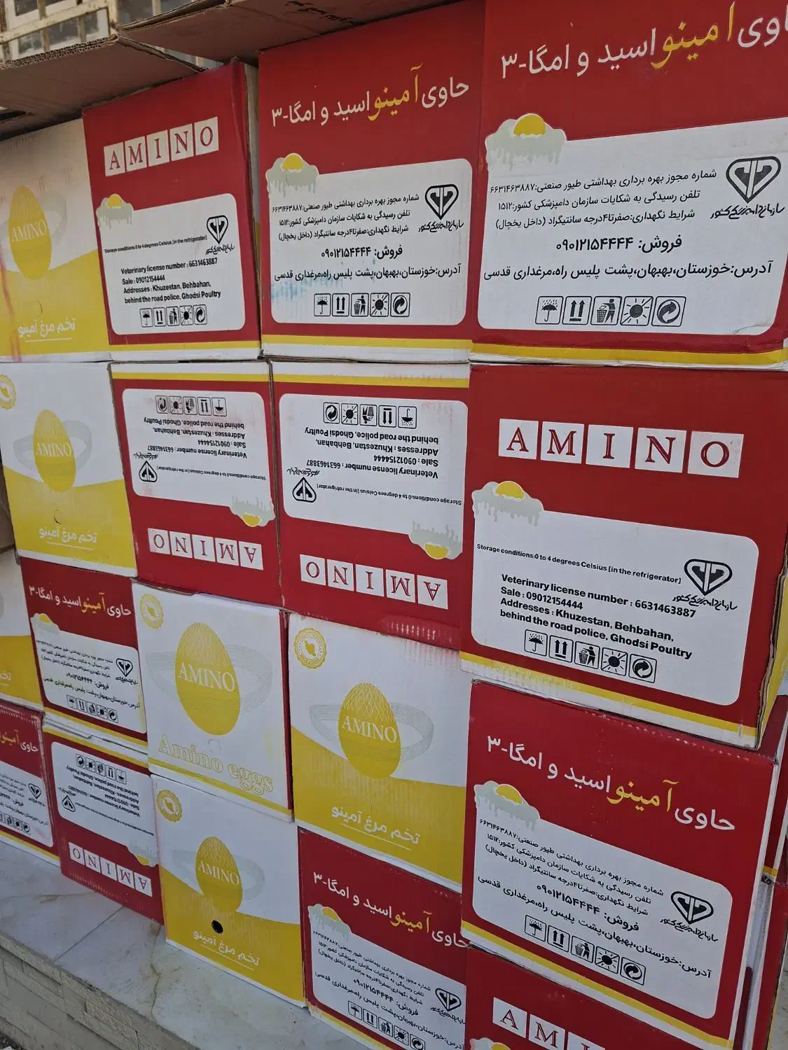 تخم مرغ|عمده‌فروشی|خرمشهر, |دیوار