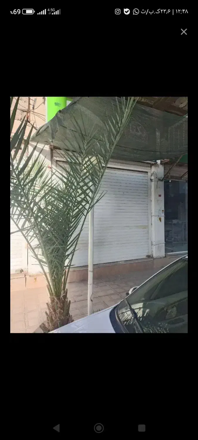 40 متر مغازه|اجارهٔ مغازه و غرفه|کرمان, |دیوار