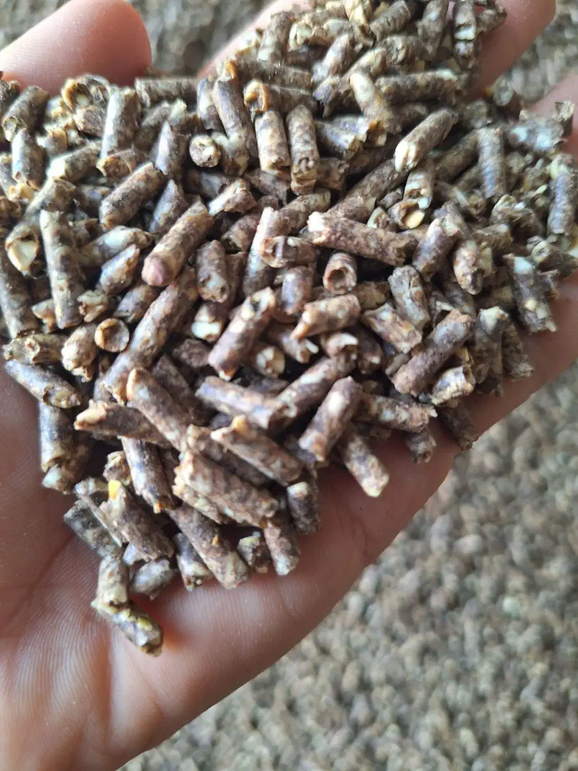 پلت خوراک دام و طیور نقد چک معاوضه|لوازم جانبی حیوانات|تهران, امین حضور|دیوار