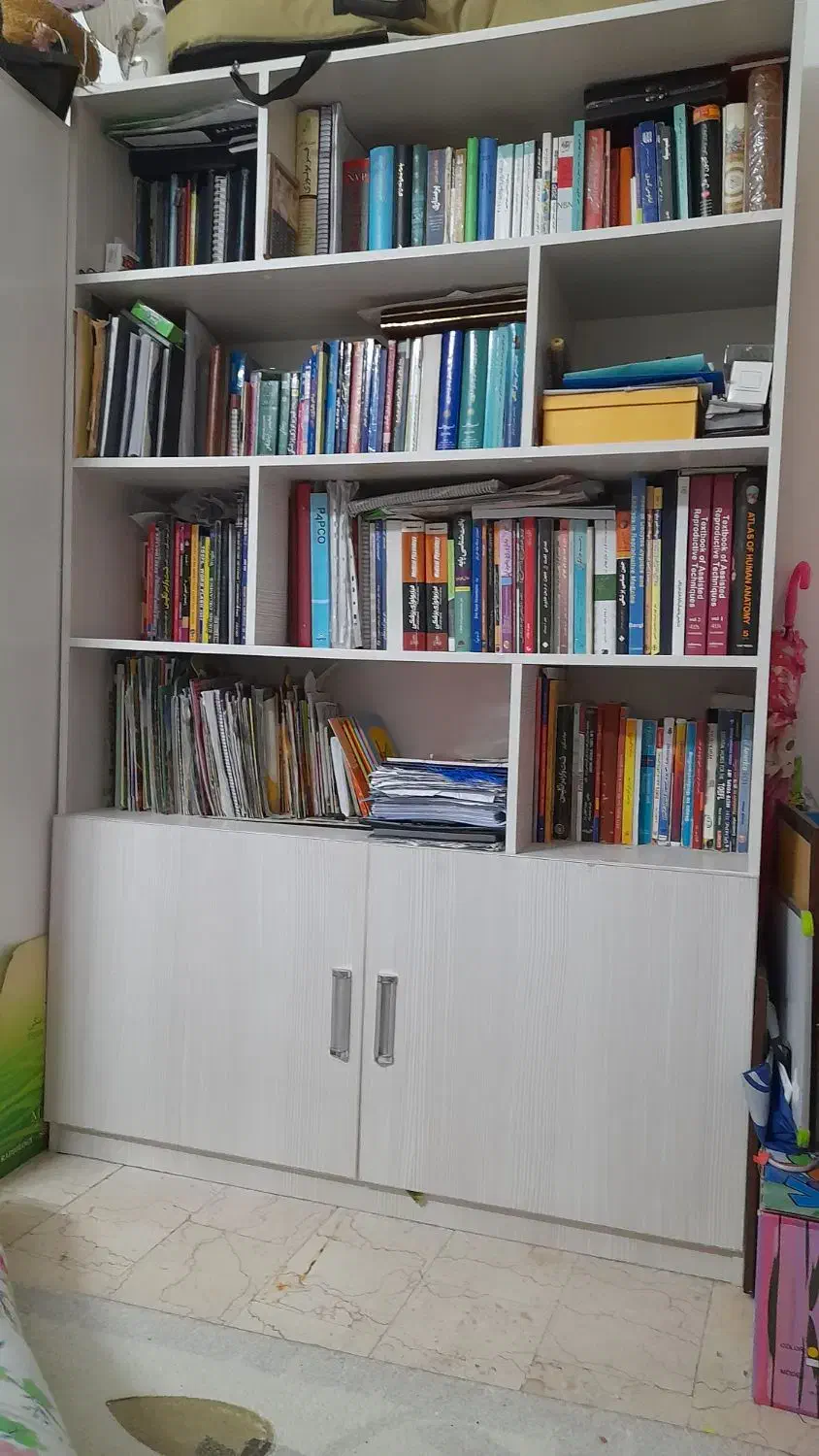 کتابخانه سالم و تمییز|کتابخانه، شلف، قفسه‌های دیواری|تهران, باغ فیض|دیوار