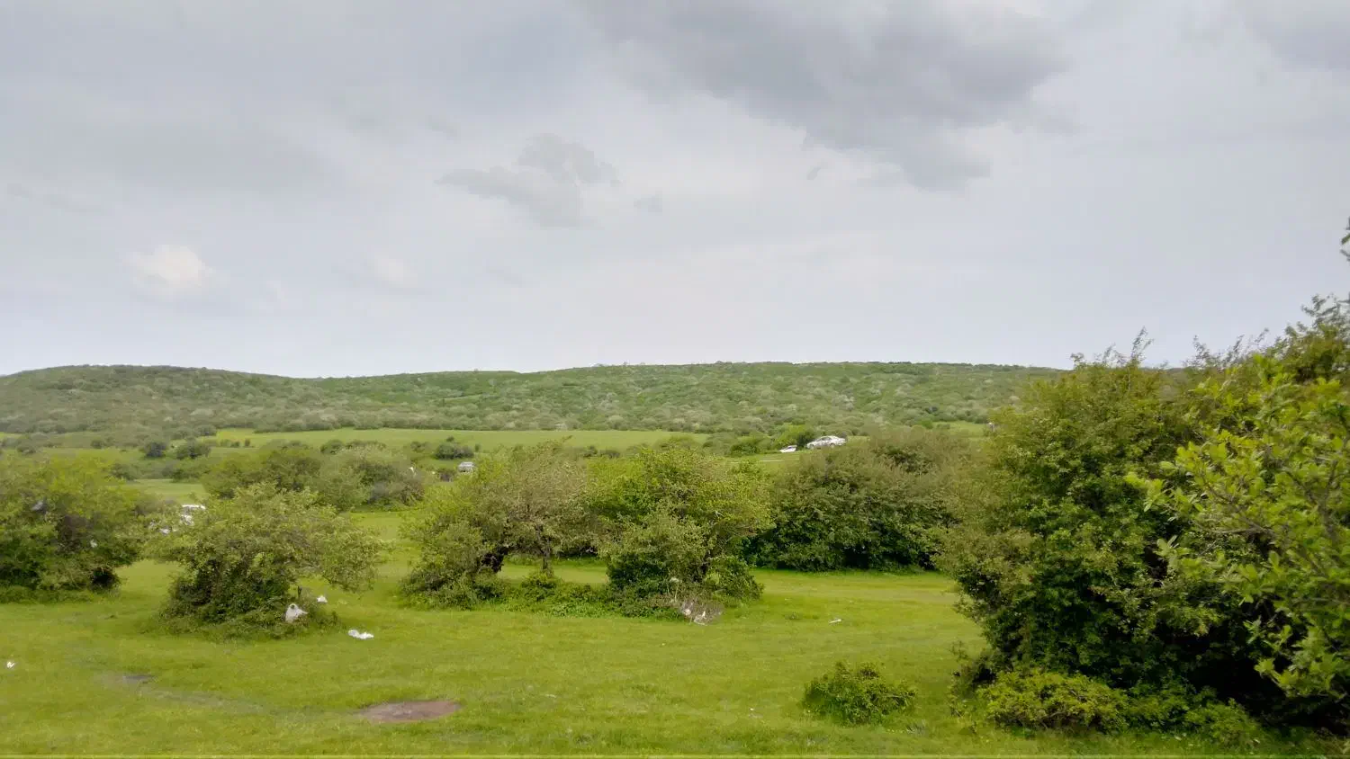 زمین خالی|فروش زمین و ملک کلنگی|ویلکیج, |دیوار