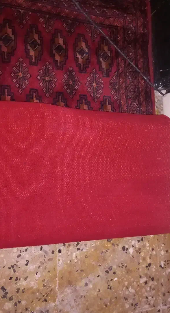 پشتی ترکمنی دستباف|پشتی|زاهدان, |دیوار