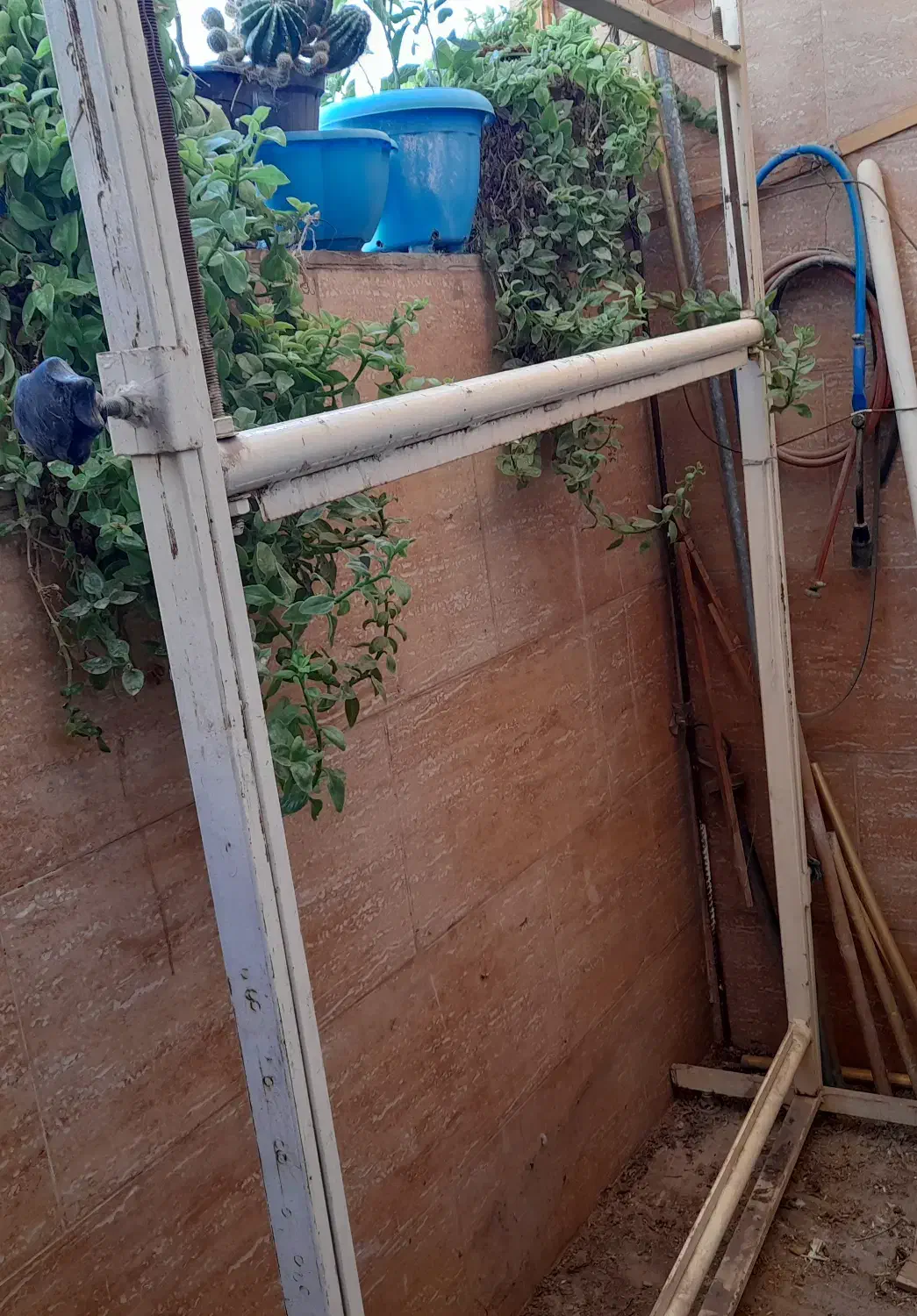 دار تابلو فرش و گلیم|لوازم خیاطی و بافتنی|بیرجند, |دیوار