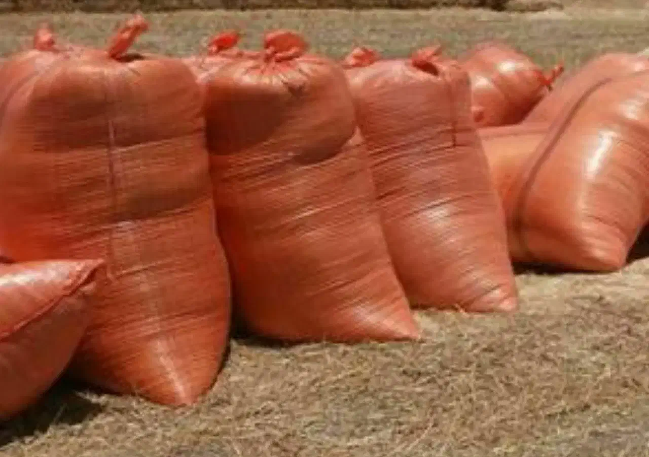 علف سبز دام|لوازم جانبی حیوانات|بانه, |دیوار