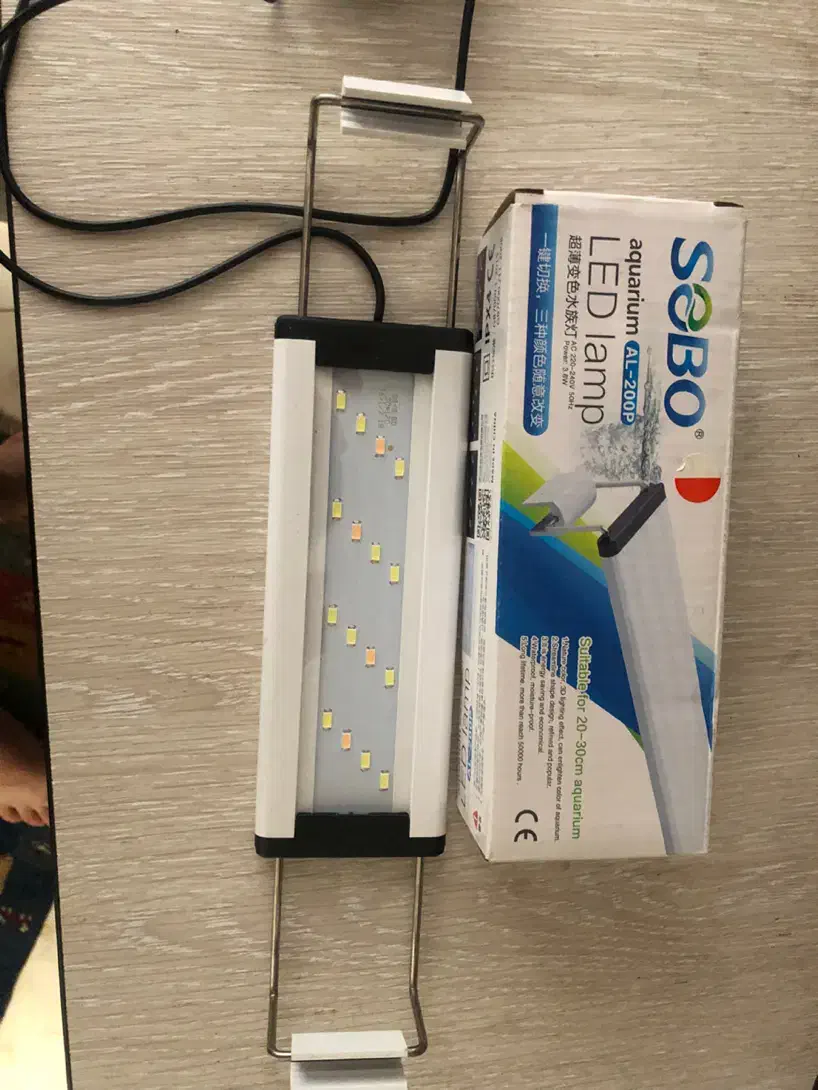 نور اکواریوم|ماهی|تهران, مرادآباد|دیوار