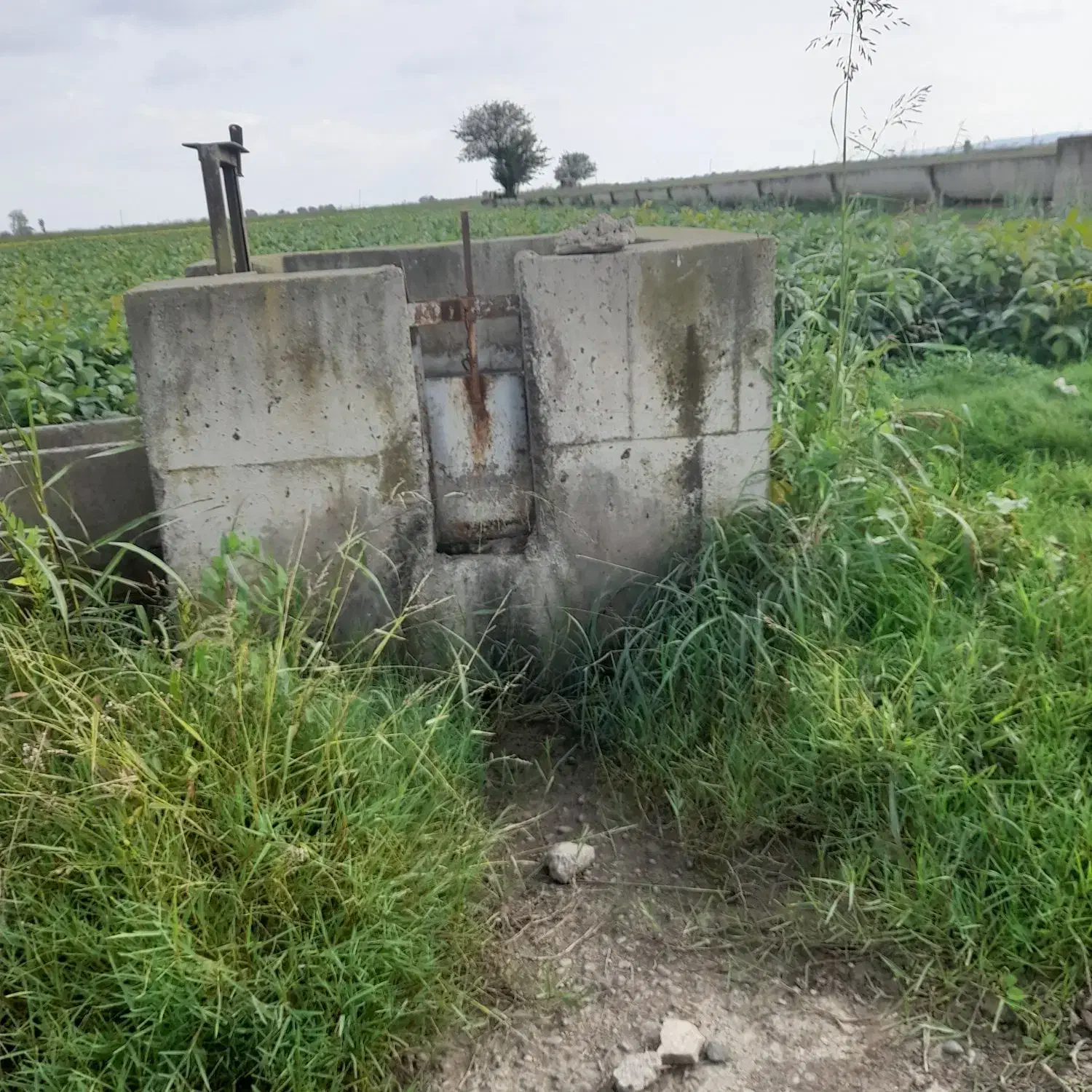 اجاره زمین کشاورزی|اجارهٔ دفتر صنعتی، کشاورزی، تجاری|بیله سوار, |دیوار