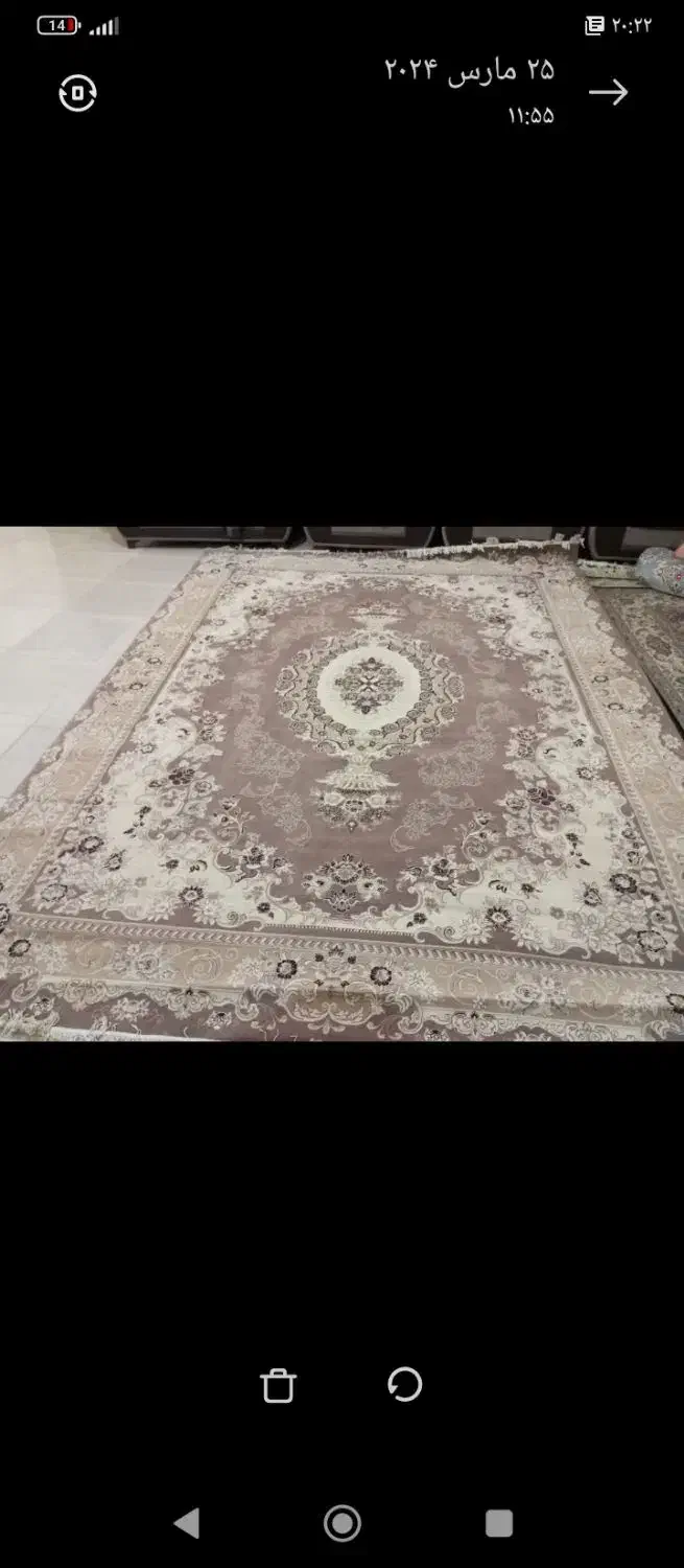 فرش 12 متری|فرش|مرودشت, استادیوم‎|دیوار