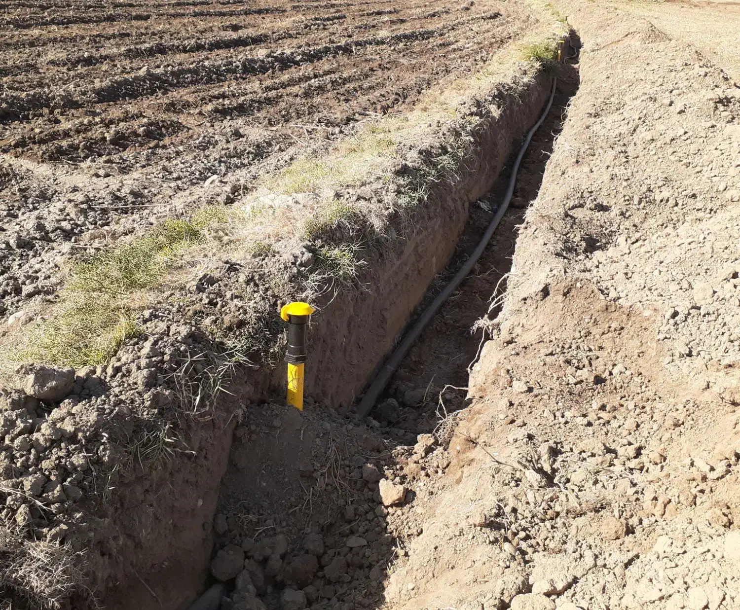 اجرای طرح بارانی و قطره ای زمین کشاورزی|خدمات باغبانی و درختکاری|دره شهر, |دیوار