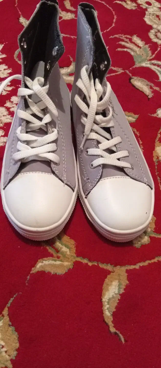 دوجفت کفش|کیف، کفش، کمربند|لردگان, |دیوار