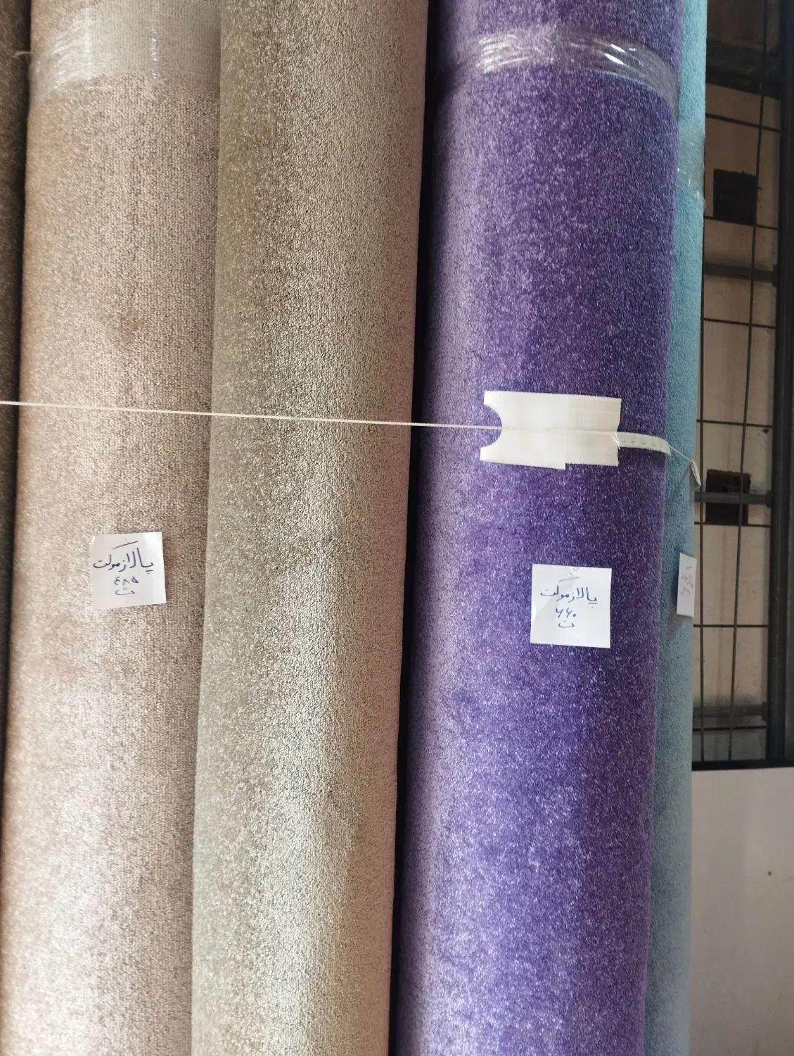 موکت پالاز و ساده|موکت|شیراز, فرگاز|دیوار