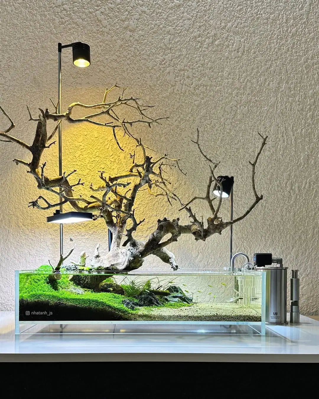 ساخت و دیزاین آکواریوم|ماهی|بندرعباس, |دیوار