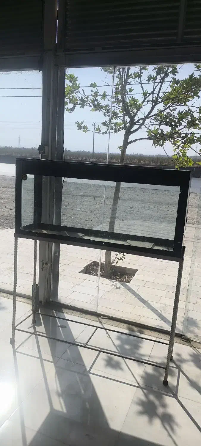 آکواریوم ماهی|ماهی|گلمکان, |دیوار