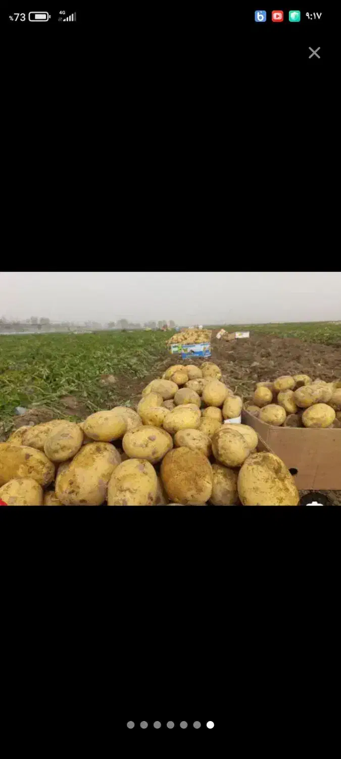 خدمات کشاورزی|خدمات باغبانی و درختکاری|خرم‌آباد, |دیوار