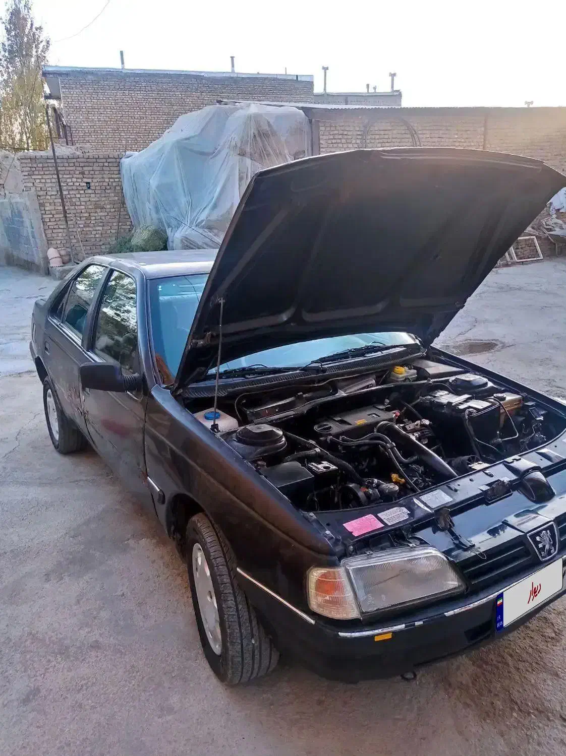 خودرو پژوفروشی|خودرو سواری و وانت|لالجین, |دیوار