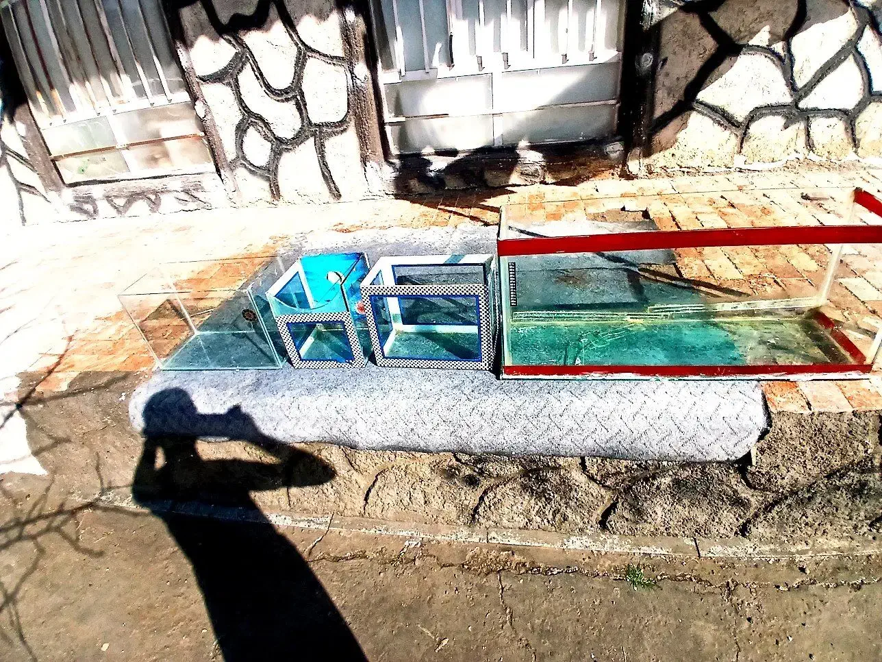 آکواریوم|ماهی|بناب, |دیوار