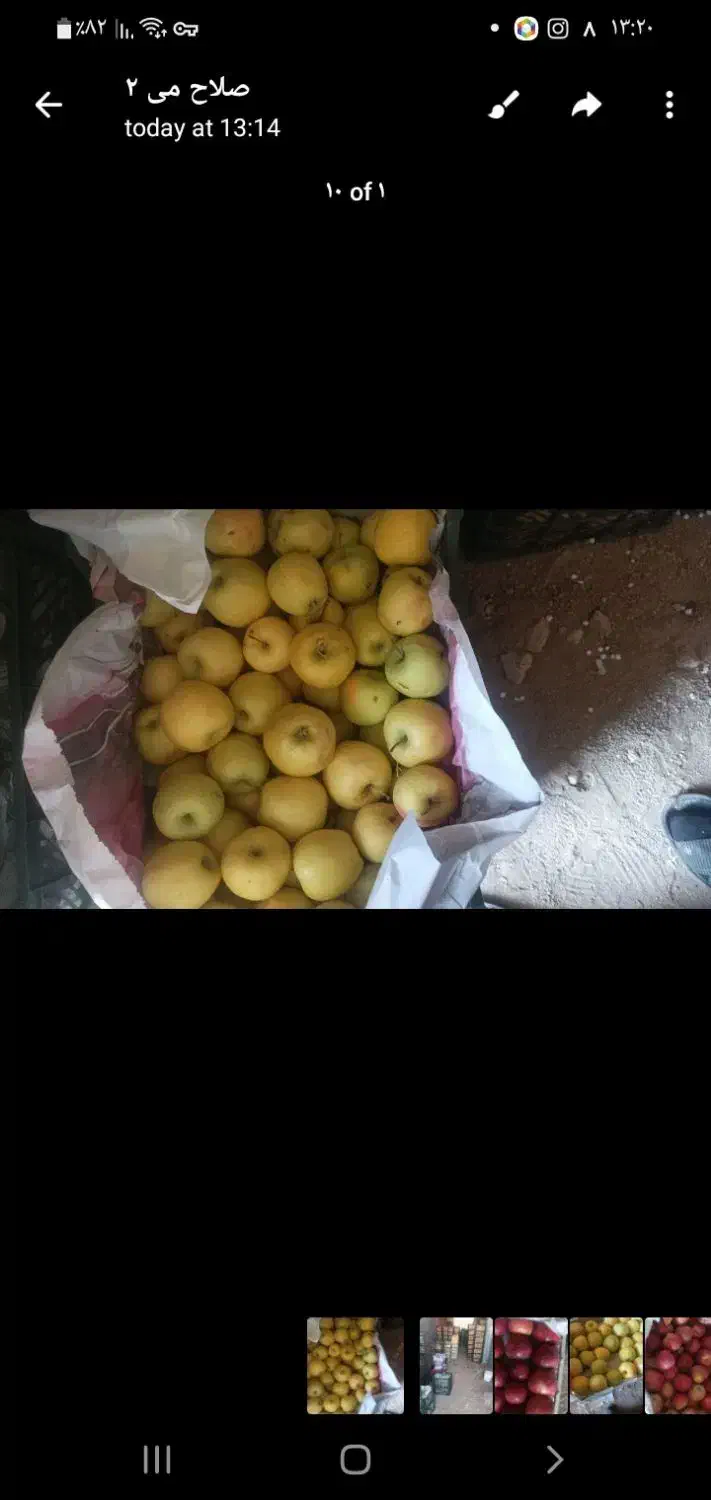 سیب درختی|خوردنی و آشامیدنی|دهگلان, |دیوار