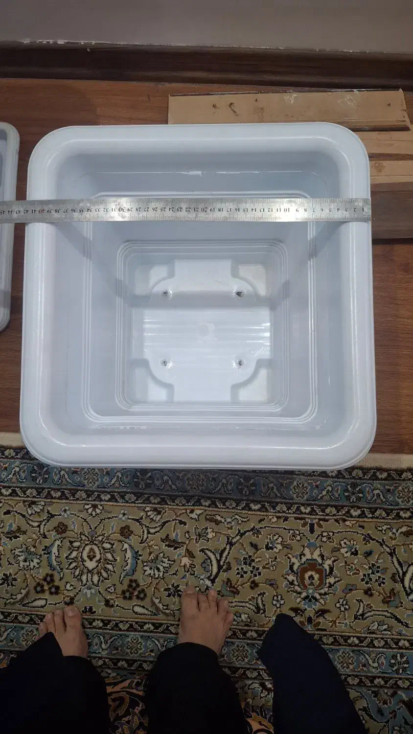 گلدان بزرگ|گل و گیاه طبیعی|تهران, سازمان برنامه شمالی|دیوار