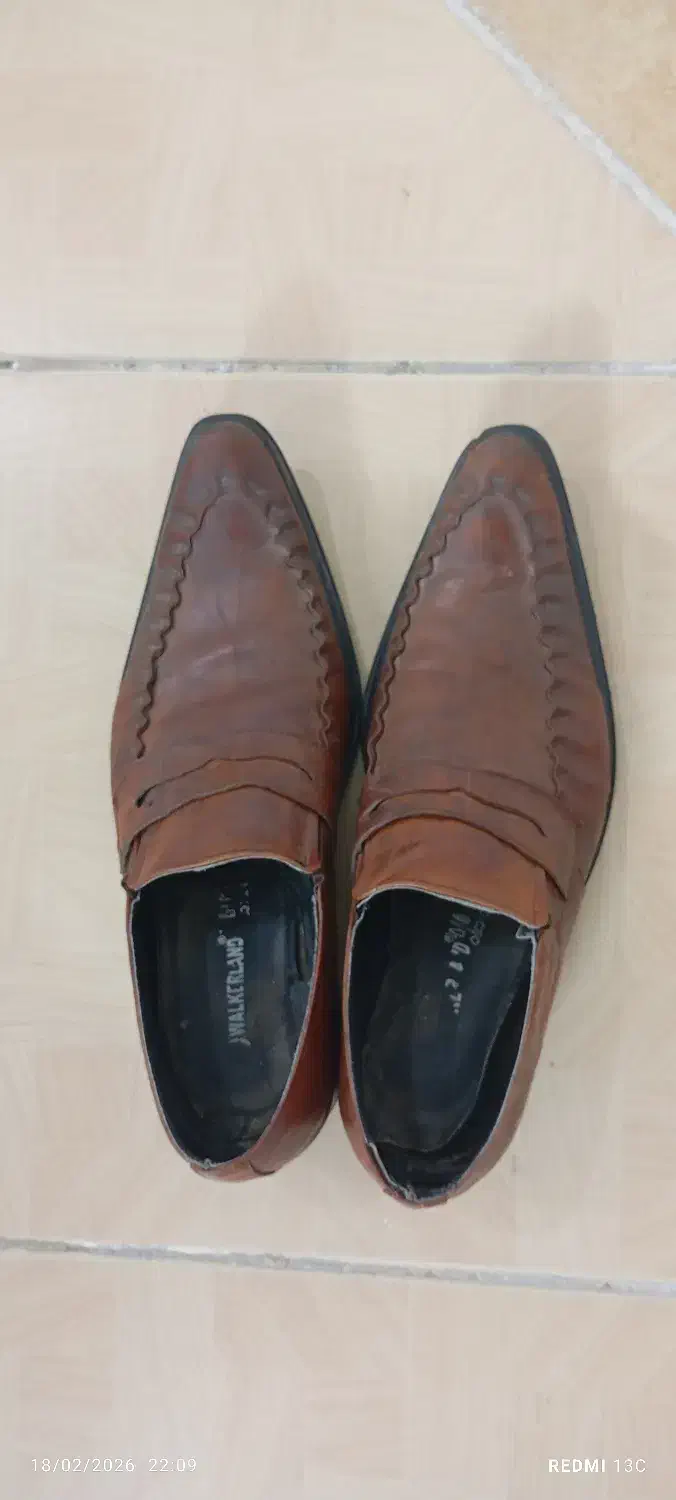 کفش|کیف، کفش، کمربند|قم, باغ کرباسی|دیوار