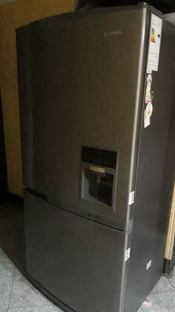 یخچال اسنوا|یخچال و فریزر|تهران, زعفرانیه|دیوار