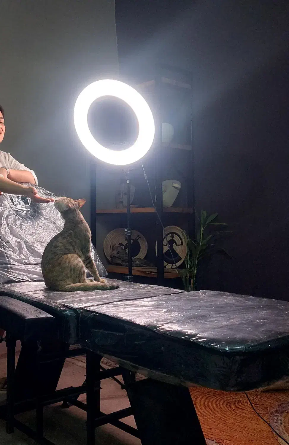 رینگ لایت|دوربین عکاسی و فیلمبرداری|بهبهان, |دیوار