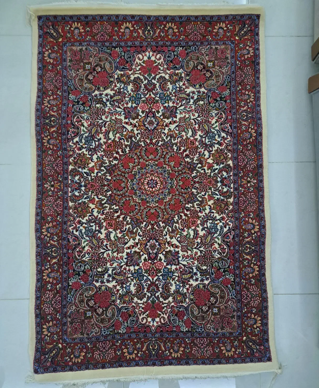 فرش زرع ونیم دستباف دوپود طرح بیجار|فرش|همدان, |دیوار