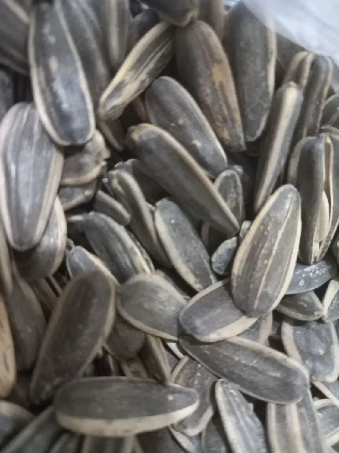 خشکبار.|خوردنی و آشامیدنی|کرج, شهرک سهرابیه|دیوار