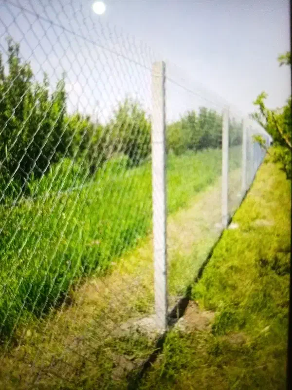 فنس کشی|خدمات باغبانی و درختکاری|نوشین شهر, |دیوار