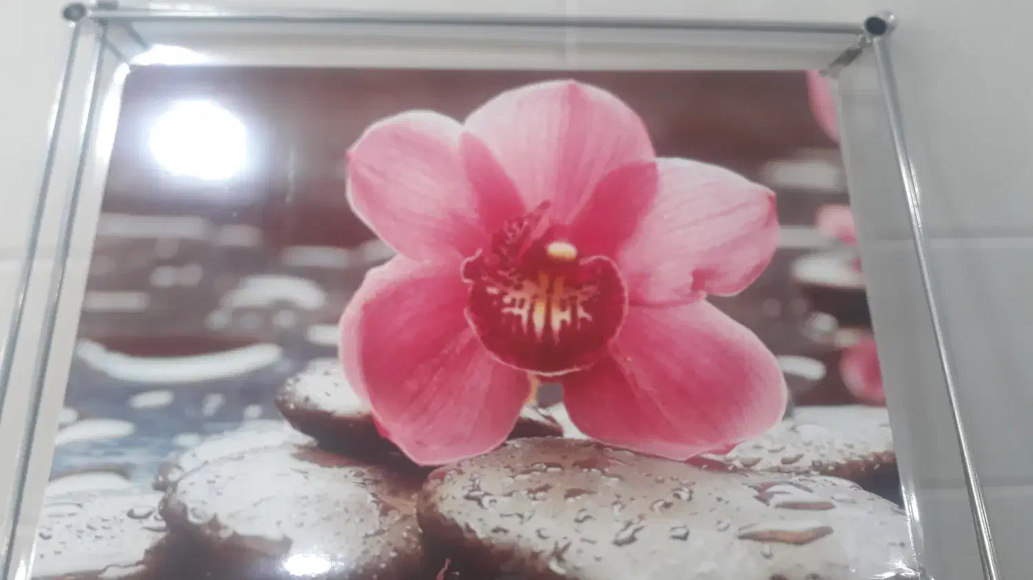 قاب فنری به همراه تصویر گل|تابلو، نقاشی، عکس|شهرکرد, |دیوار