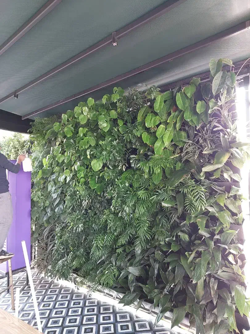 کاغذ دیواری،پارکت،ترمووال،ماربل،شیت|مصالح و تجهیزات ساختمان|اهر, |دیوار