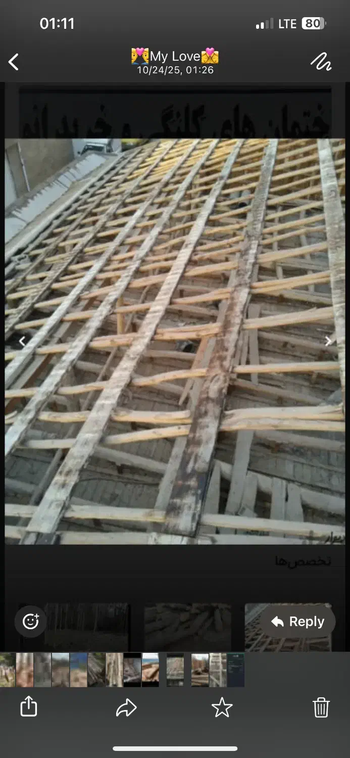 خرید چوب خشک ساختمانی و چوب نراد|خدمات باغبانی و درختکاری|رشت, دخانیات|دیوار