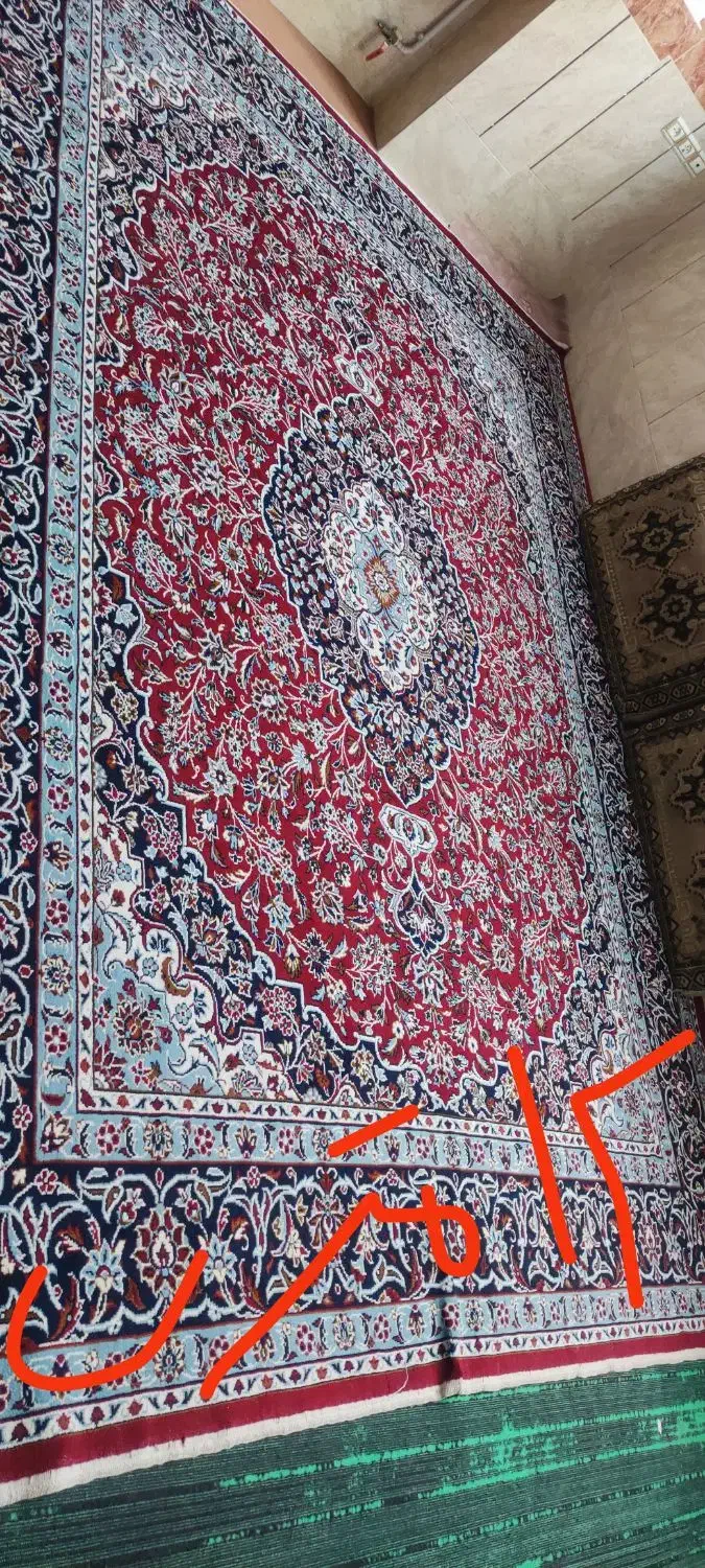 فرش|فرش|زنجان, |دیوار