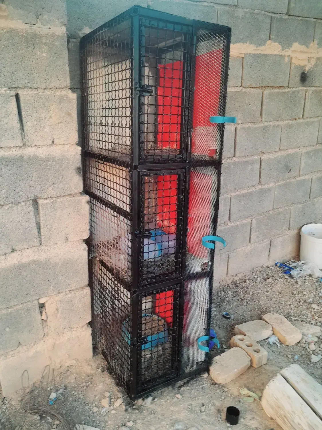 جفت کن اهنی کفتر کبوتر|لوازم جانبی حیوانات|آباده, |دیوار