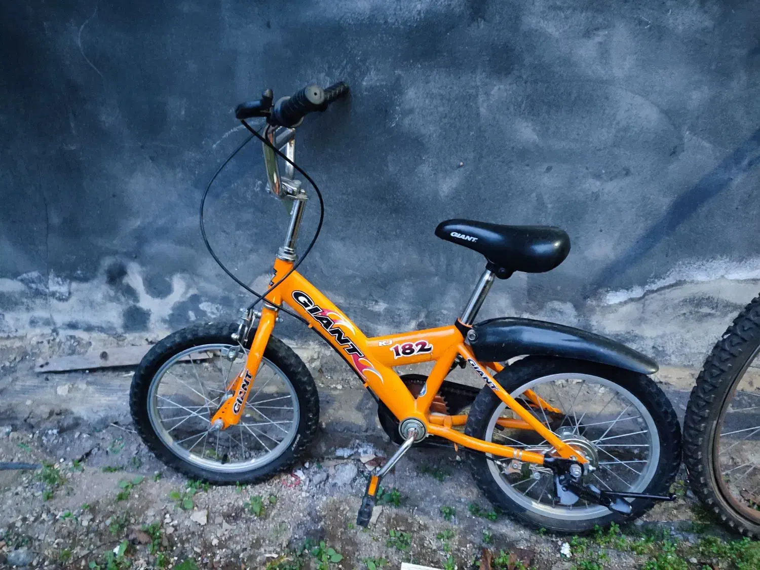 دوچرخه کودک|دوچرخه، اسکیت، اسکوتر|بندر انزلی, متروپل|دیوار