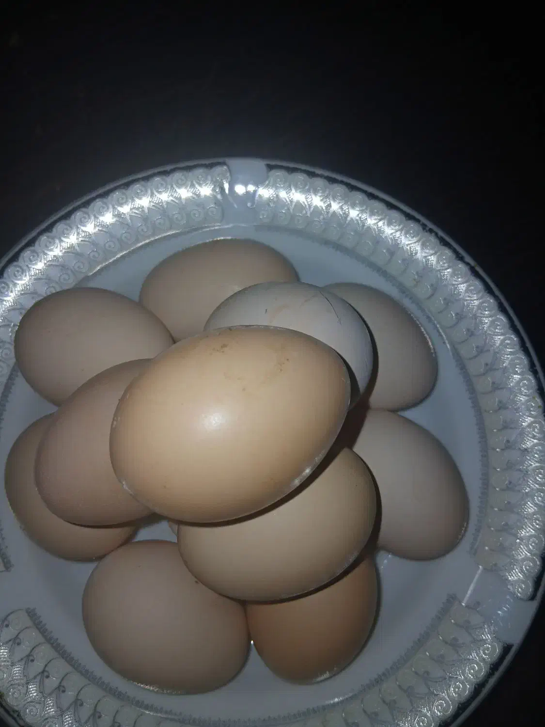 تخم مرغ خانگی|خوردنی و آشامیدنی|تربتحیدریه, منظر|دیوار