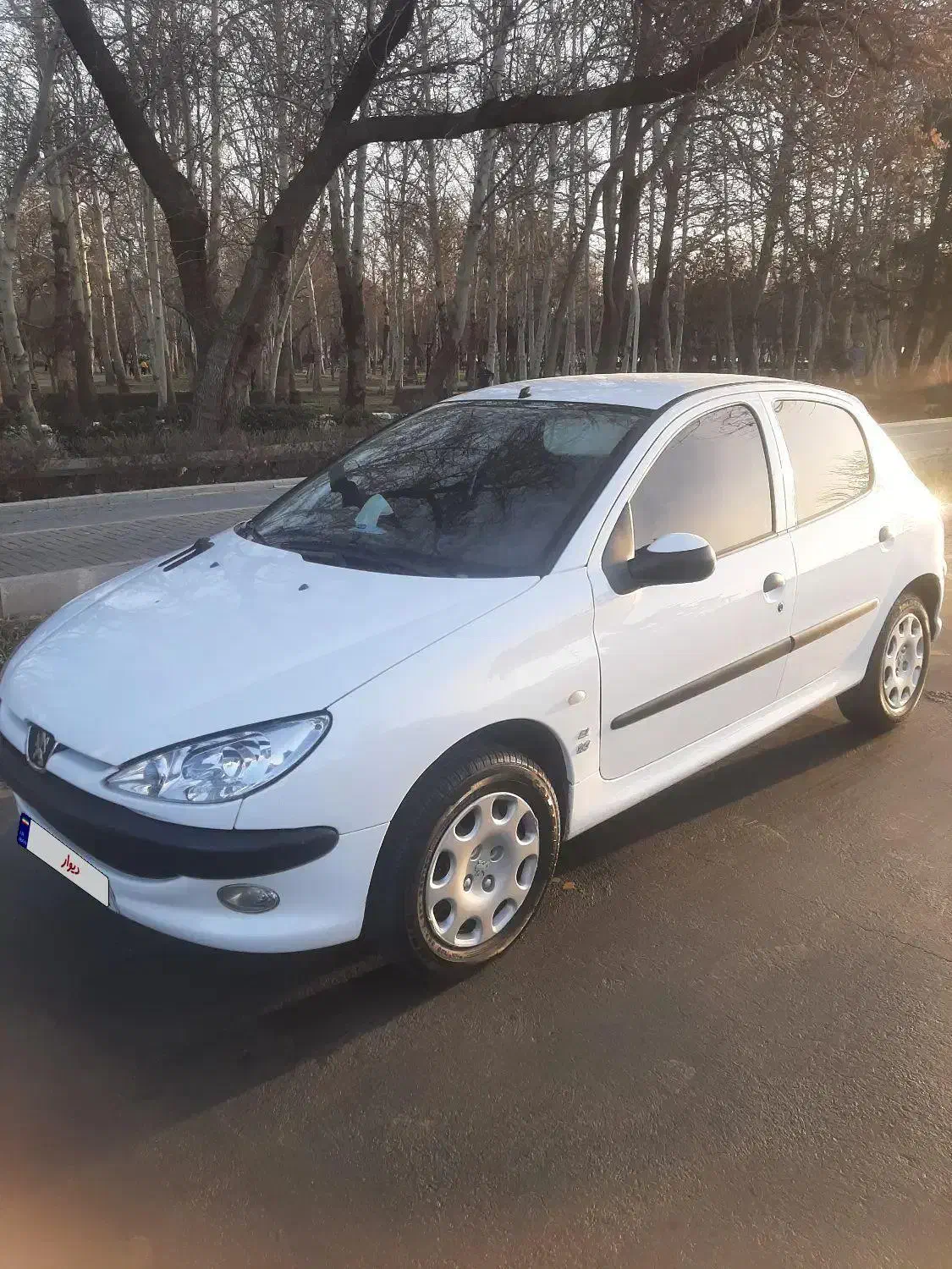 پژو ۲۰۶ مدل ۱۳۹۹/۱۲/۲۶|خودرو سواری و وانت|مشهد, فلسطین|دیوار