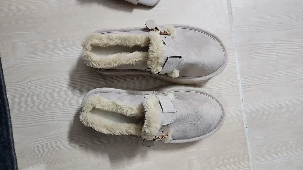 کفش زمستانی،|کیف، کفش، کمربند|محلات, |دیوار