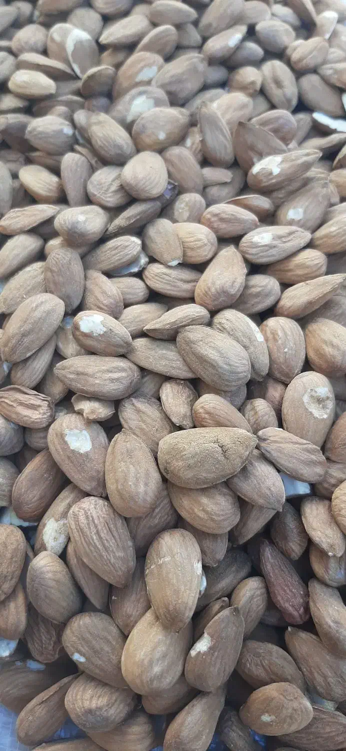 بادام کاغذی درجه یک|عمدهفروشی|ششده و قره بلاغ, |دیوار