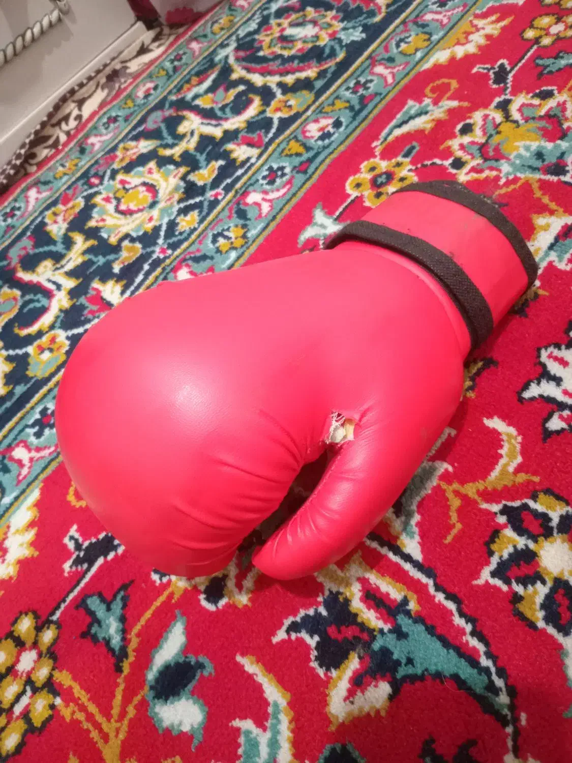 دستکش بوکس|تجهیزات ورزشی|اردبیل, |دیوار