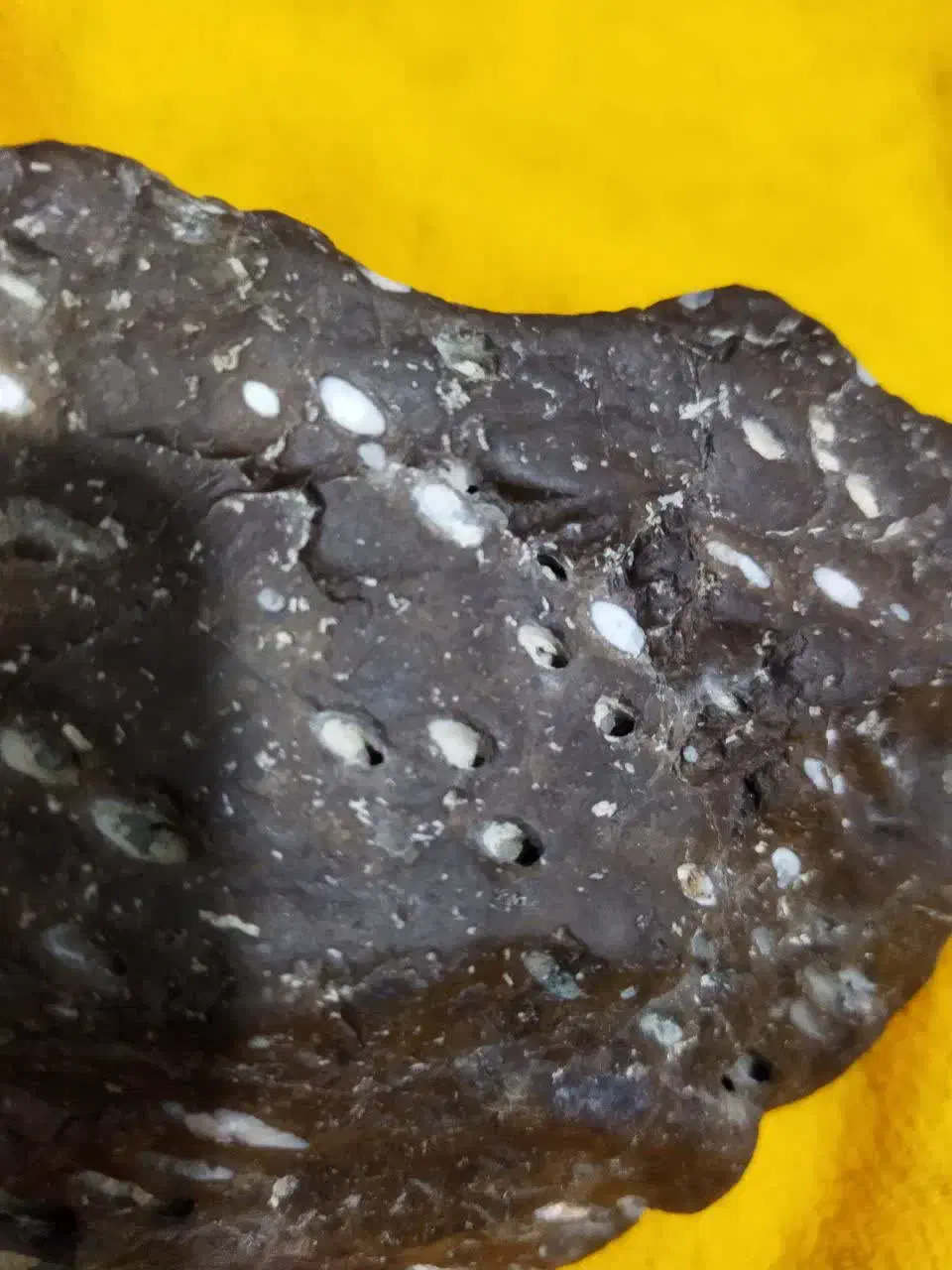 شهاب سنگ|کلکسیون اشیاء عتیقه|کرج, گوهردشت|دیوار