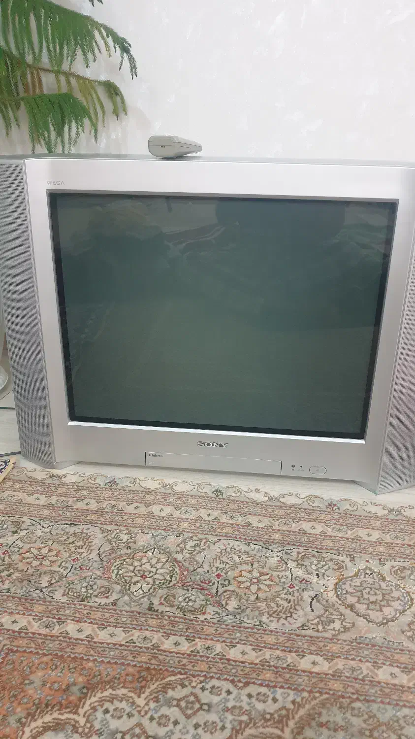 تلویزیون ۲۹ اینچ قدیمی کاملا سالم وکم کارکرد سونی|تلویزیون و پروژکتور|ارومیه, |دیوار