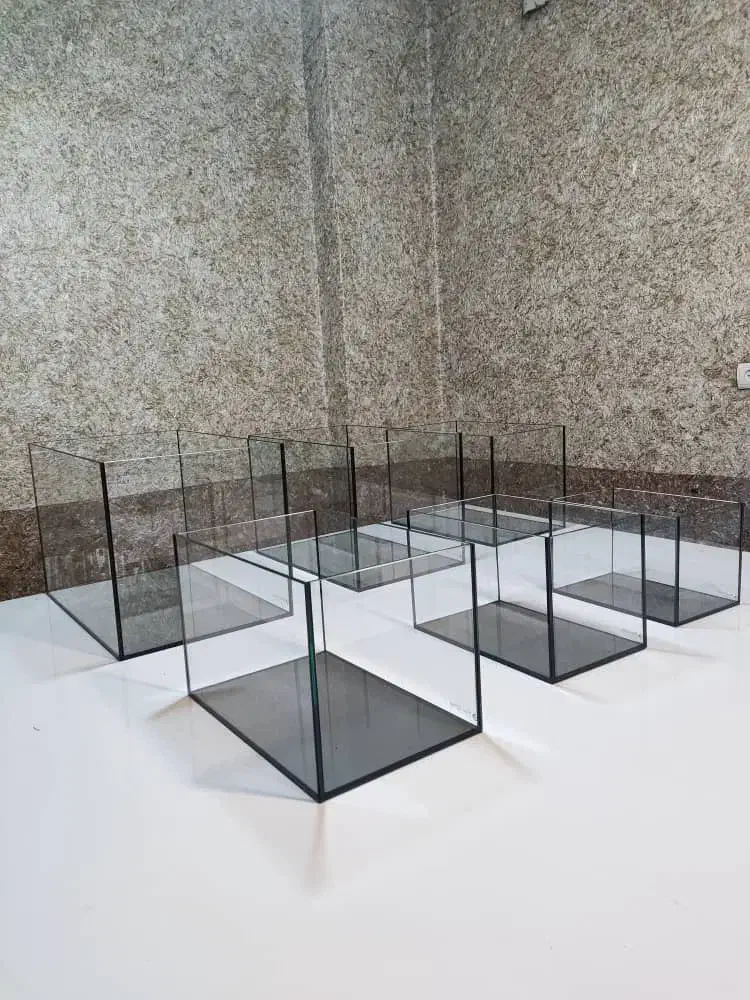 ساخت آکواریوم ریملس با سامپ و سیستم سوپر سایلنت|ماهی|رشت, گلسار|دیوار