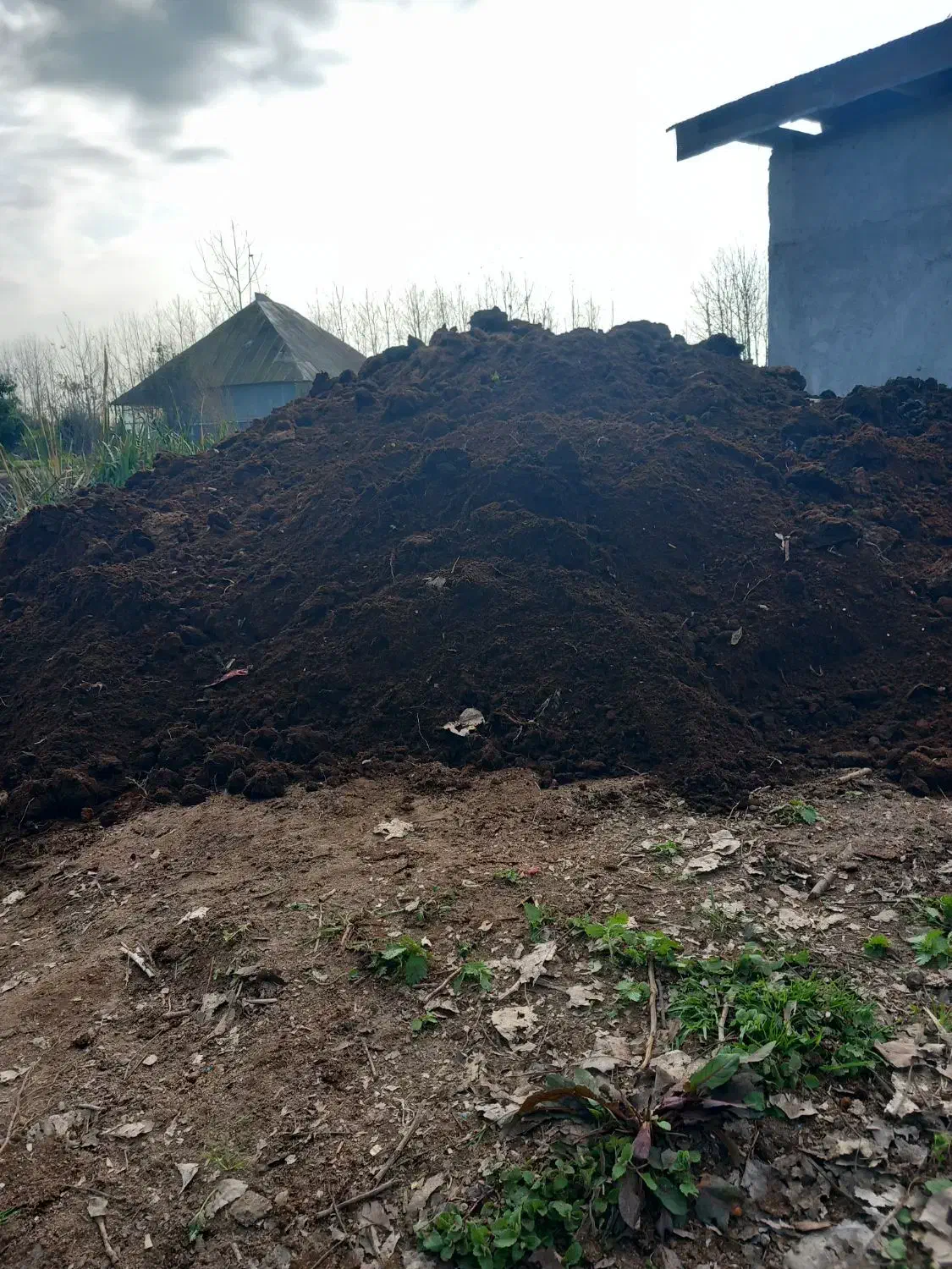 خاک حیوانی کود|خدمات باغبانی و درختکاری|آستانه اشرفیه, |دیوار