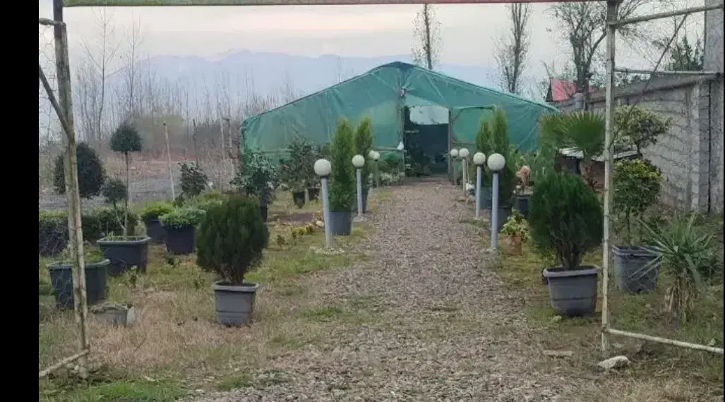 زمین اجاره ای|اجارهٔ دفتر صنعتی، کشاورزی، تجاری|لنگرود, |دیوار