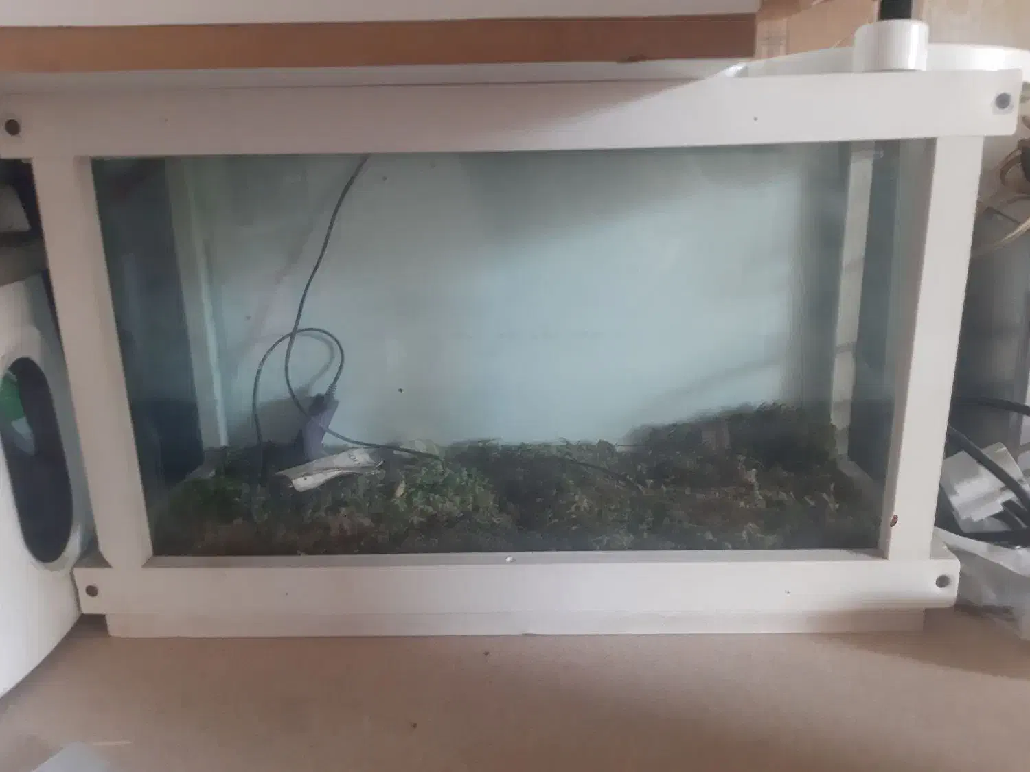 آکواریوم|ماهی|قم, زنبیل آباد|دیوار