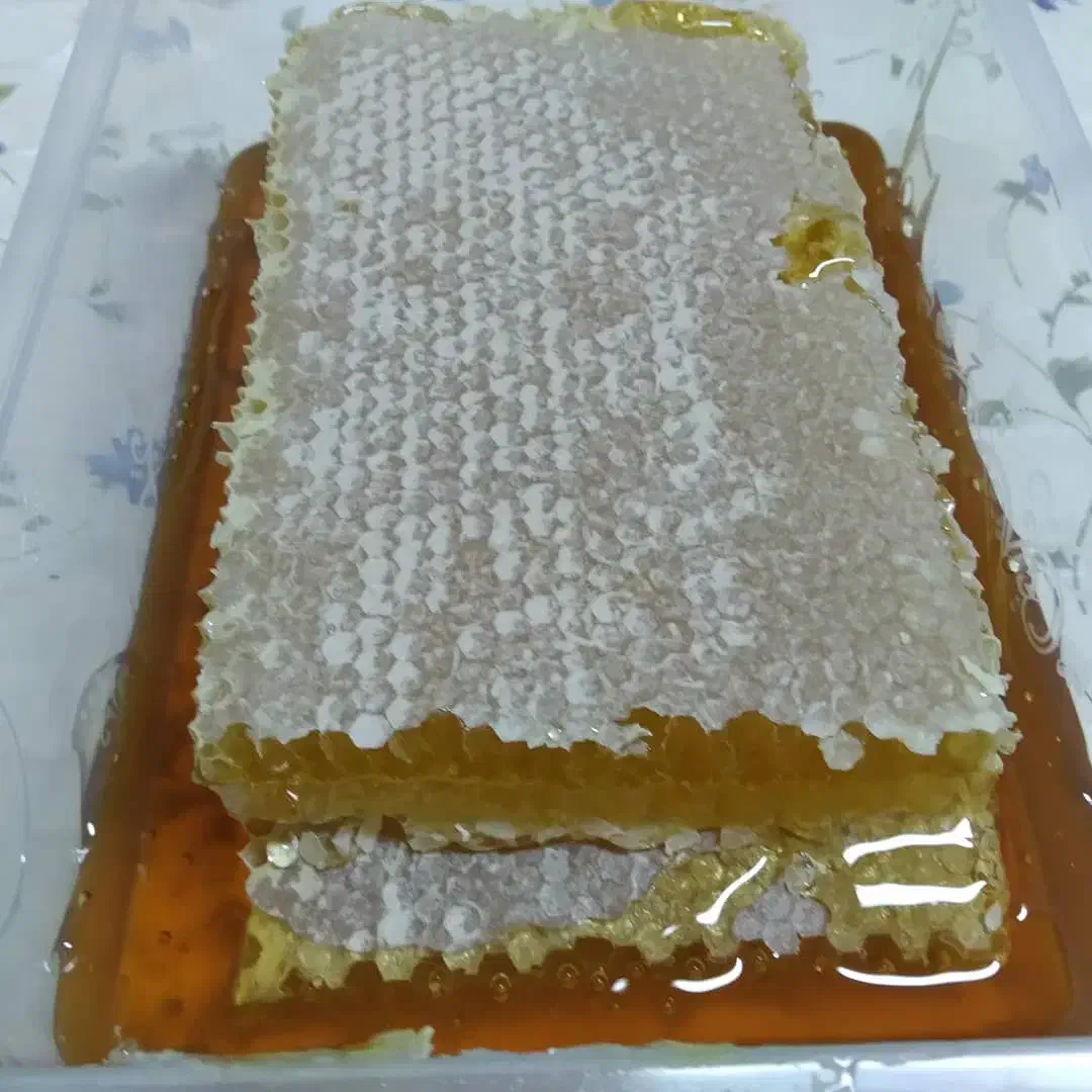 عسل طبیعی اردبیل|خوردنی و آشامیدنی|تهران, گمرک|دیوار