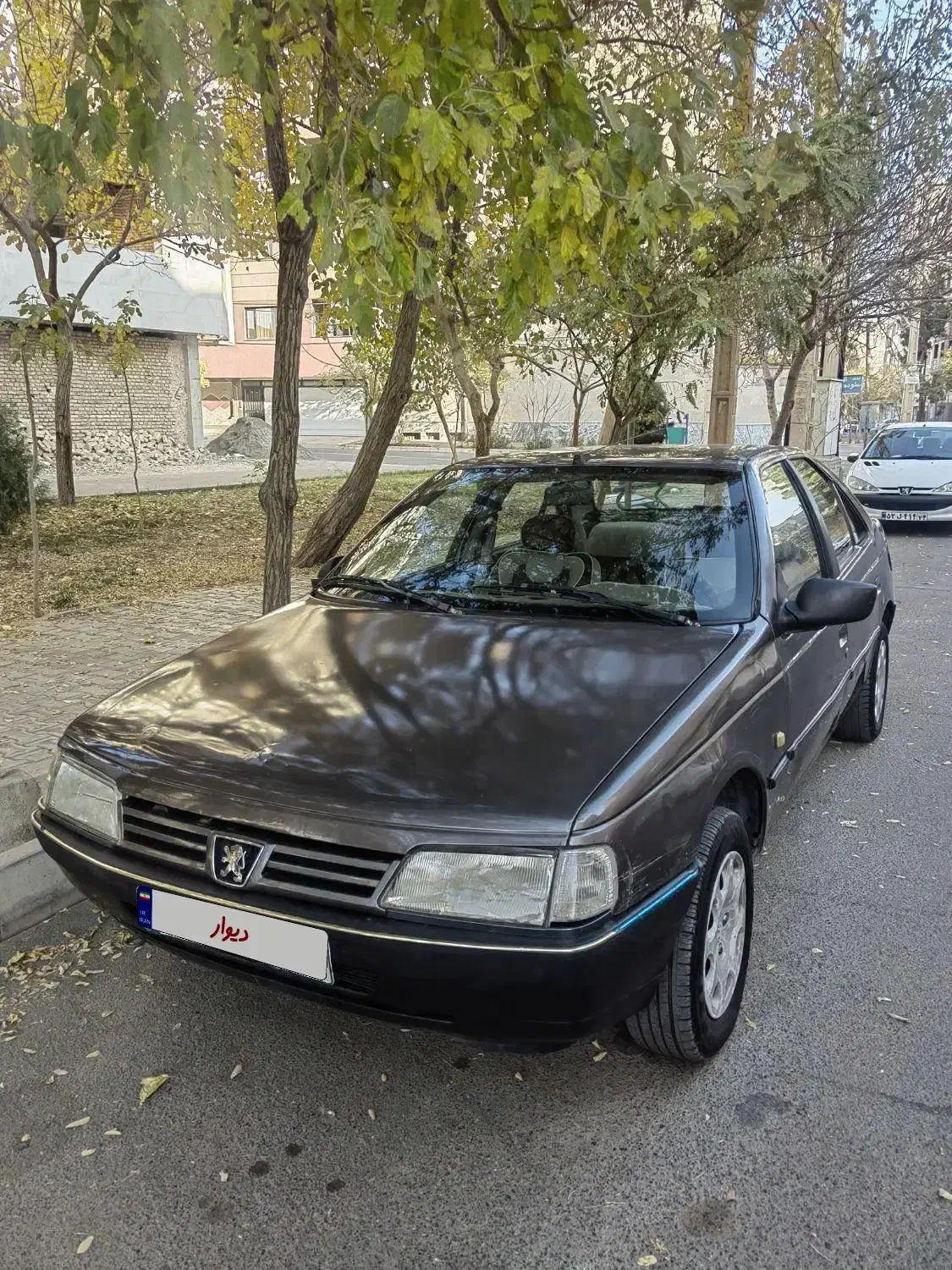 پژو روا دوگانه سوز مدل ۸۷|خودرو سواری و وانت|سبزوار, قصبه اب یمین|دیوار