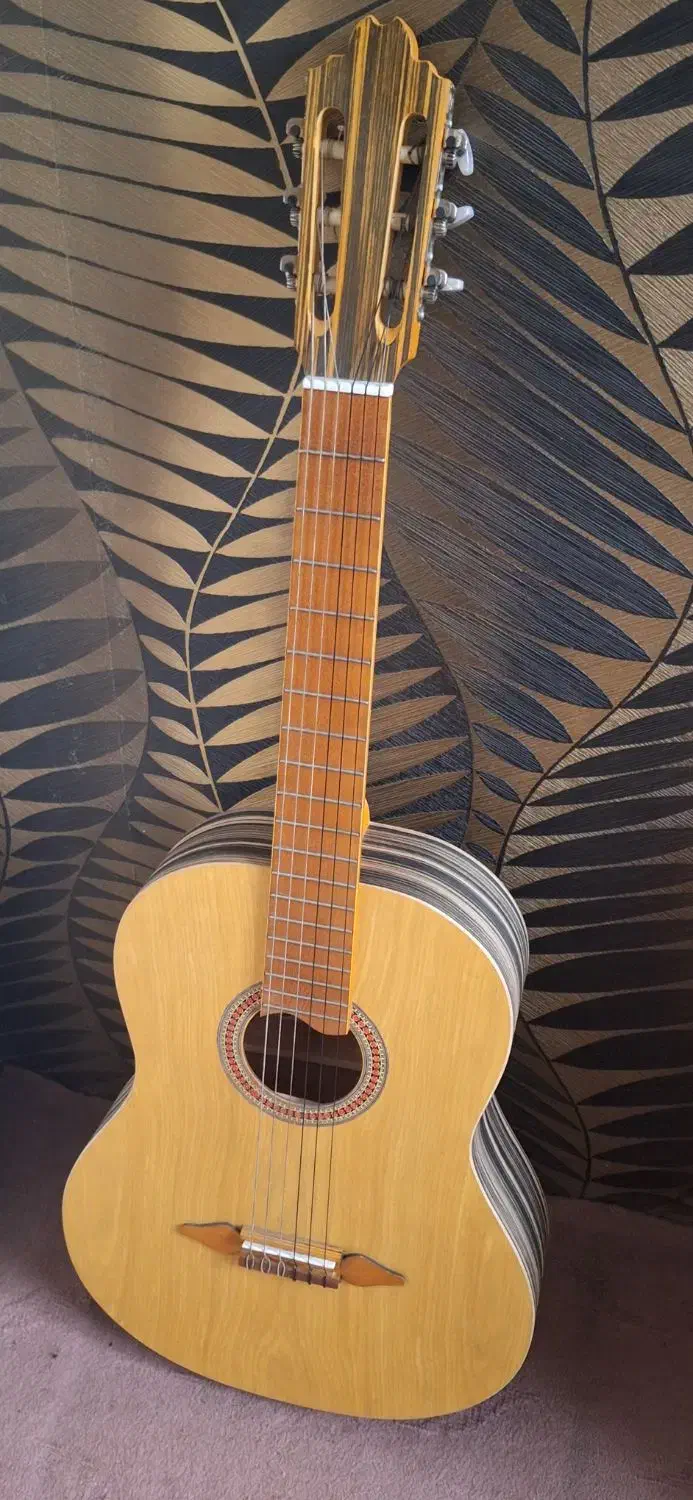 گیتار همراه با کیف|گیتار، بیس، امپلیفایر|ری, بیبی شهر بانو|دیوار